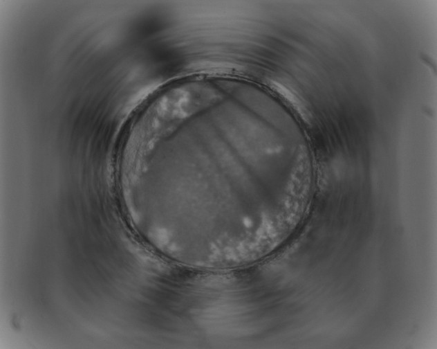 X0000091341074200708241218