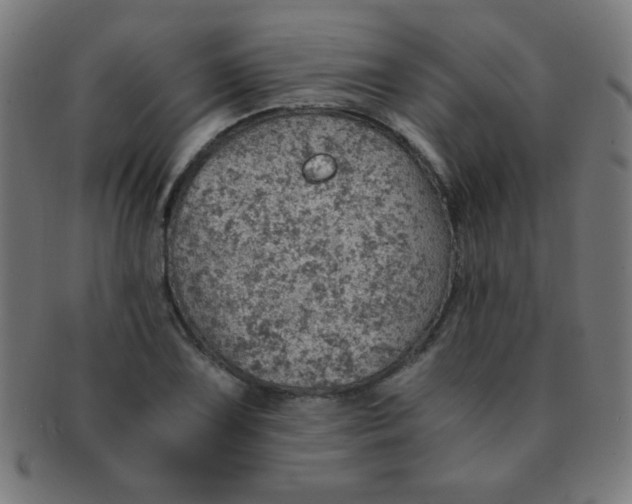 X0000091341075200708241218