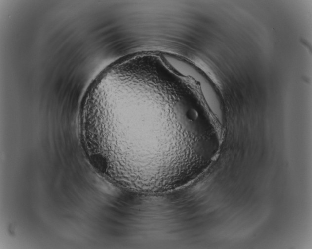 X0000091341076200708241218