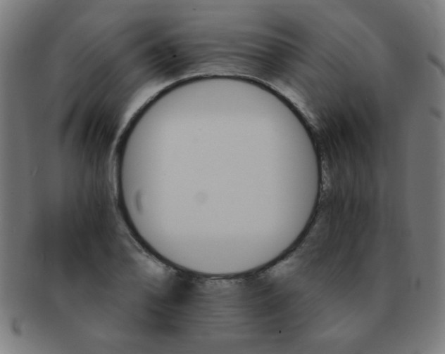 X0000091341078200708241218