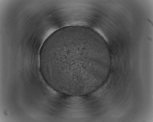 X0000091341079200708241218