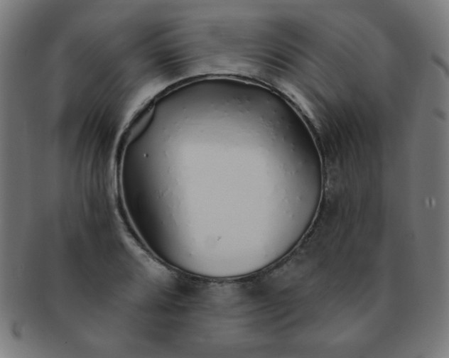 X0000091341080200708241218