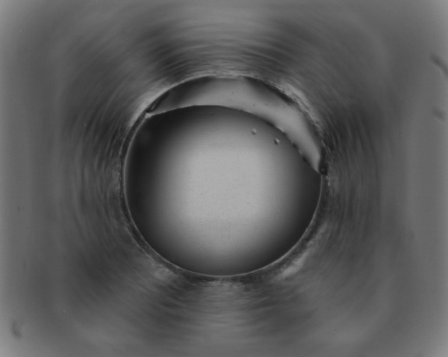 X0000091341081200708241218