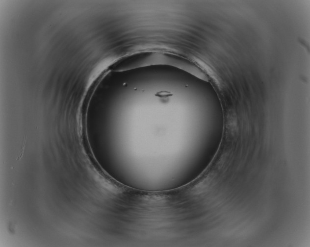 X0000091341082200708241218