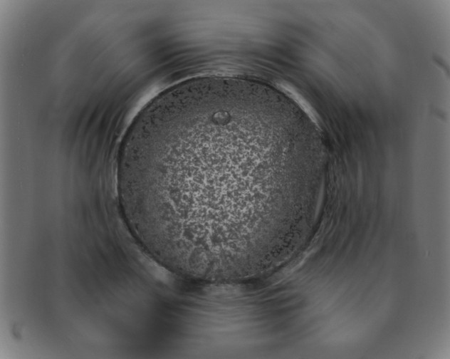 X0000091341083200708241218