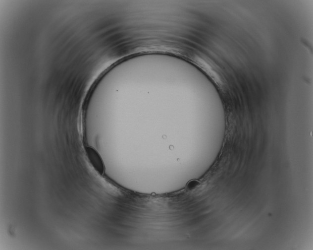 X0000091341084200708241218