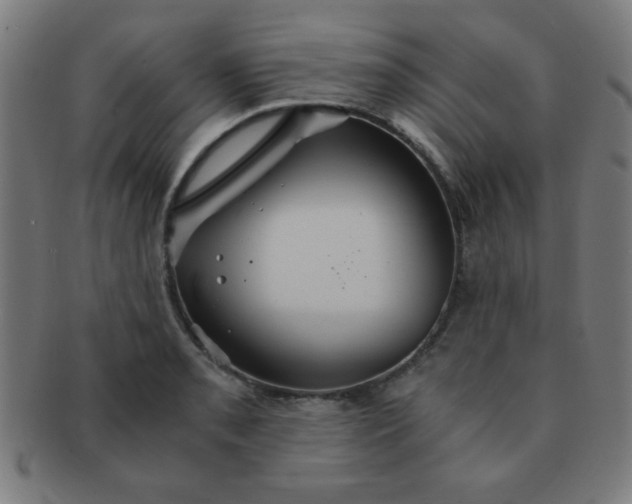 X0000091341085200708241218