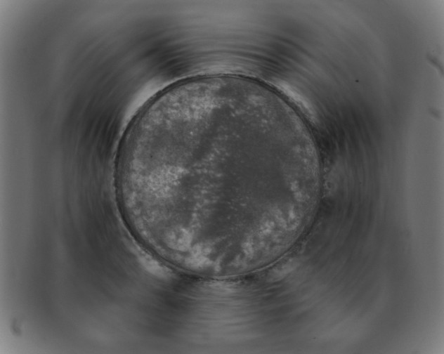 X0000091341086200708241218