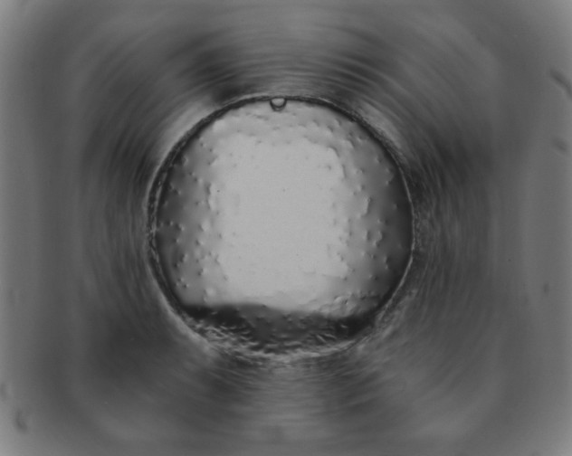 X0000091341087200708241218