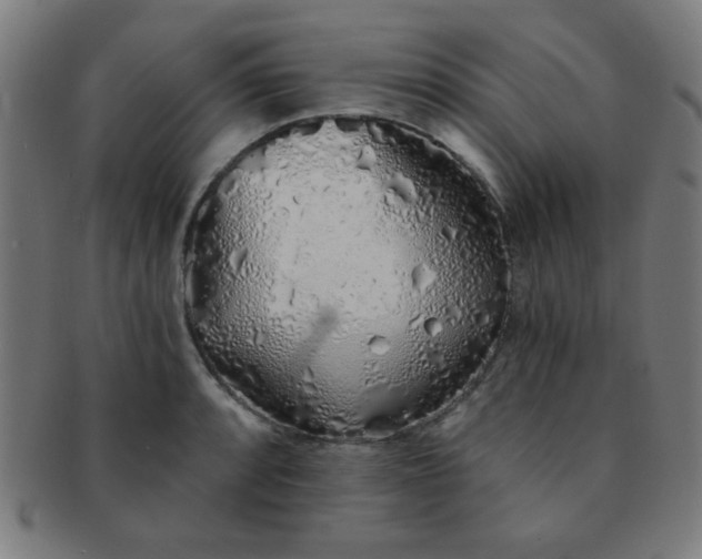 X0000091341088200708241218