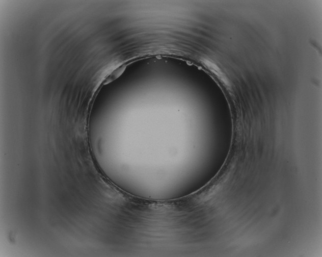 X0000091341089200708241218