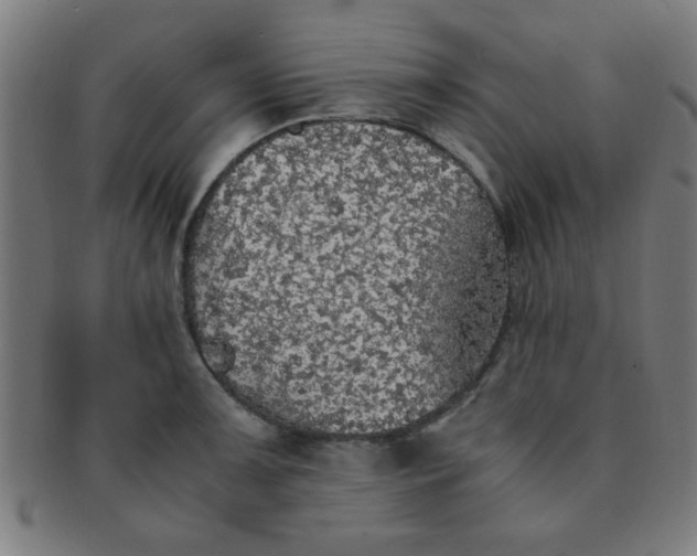 X0000091341091200708241218