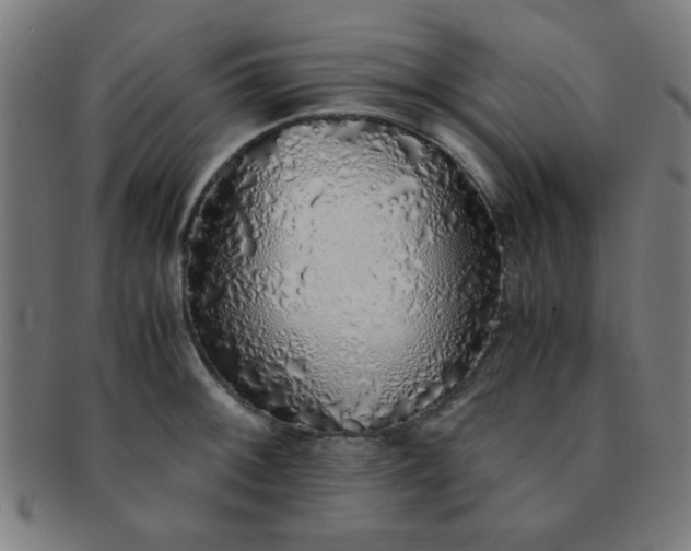 X0000091341092200708241217