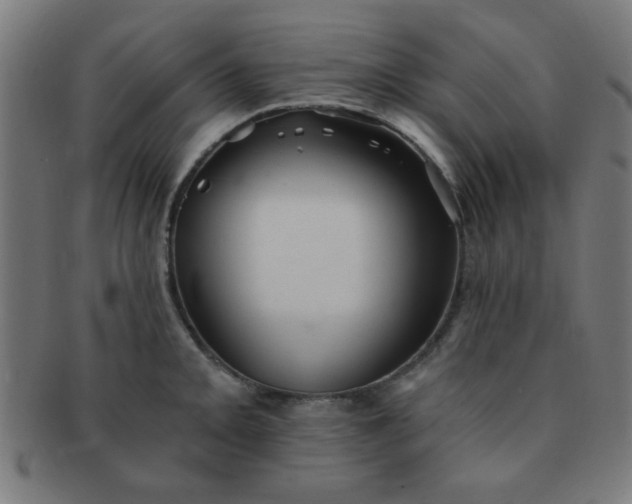 X0000091341093200708241217