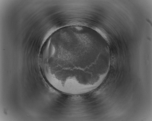 X0000091341094200708241217