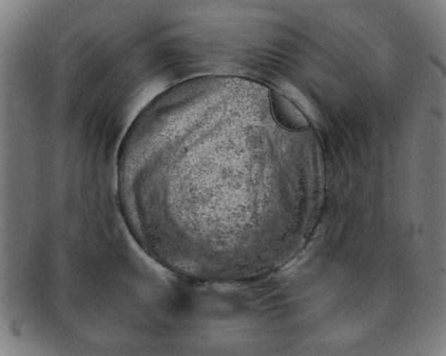 X0000091341095200708241217