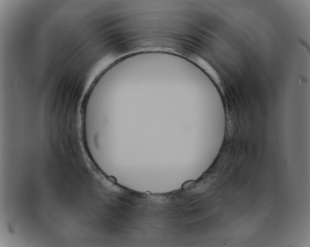 X0000091341096200708241217