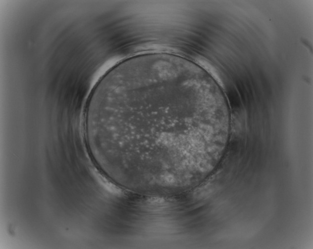 X0000091341098200708241217