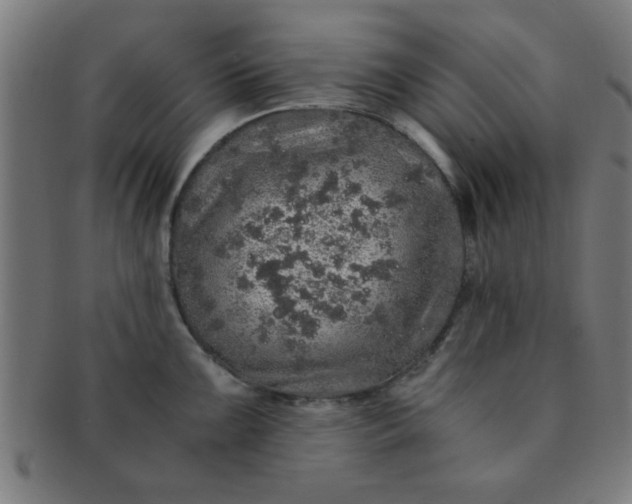 X0000091341099200708241217