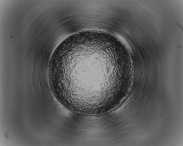 X0000091341100200708241217