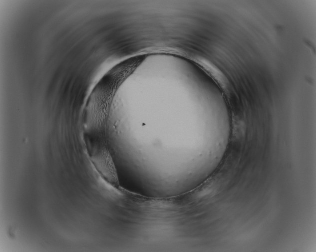 X0000091341102200708241217