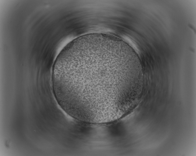 X0000091341103200708241217