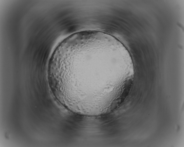 X0000091341104200708241217