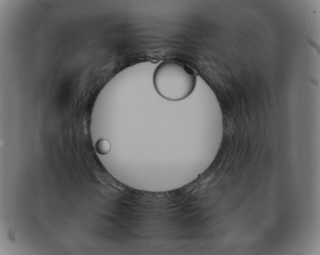 X0000091341106200708241217