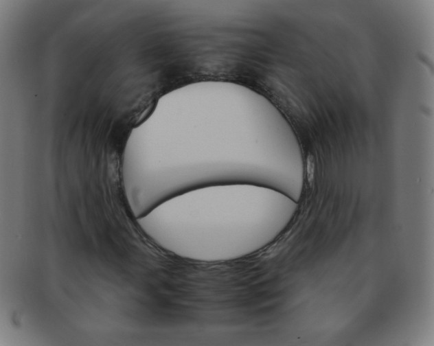 X0000091341107200708241217