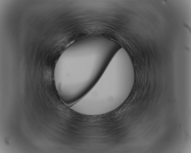 X0000091341108200708241217