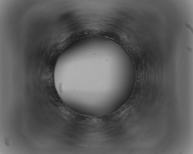 X0000091341109200708241217