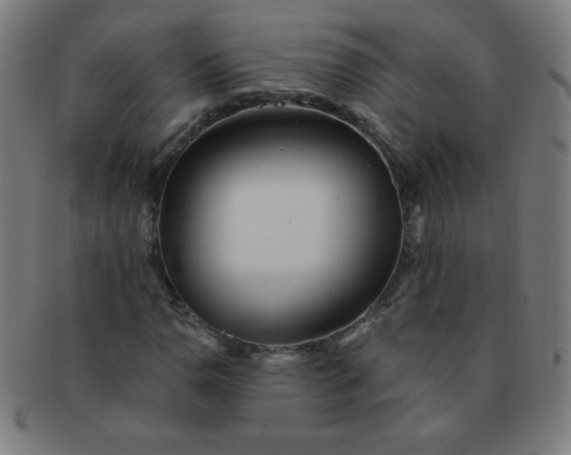 X0000091341110200708241217