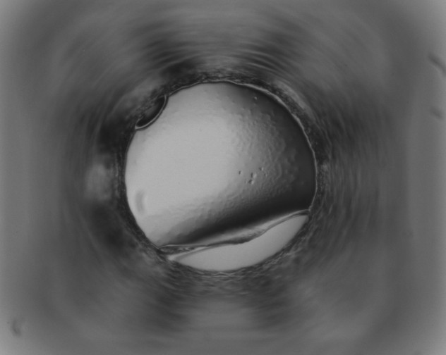 X0000091341111200708241217