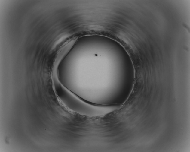 X0000091341112200708241217