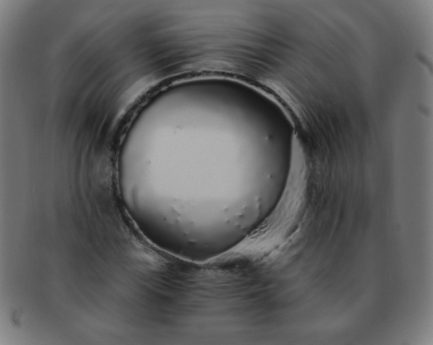 X0000091341115200708241217