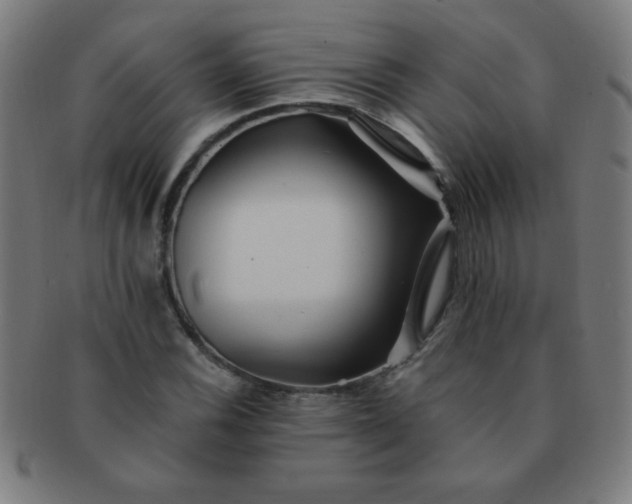 X0000091341116200708241217