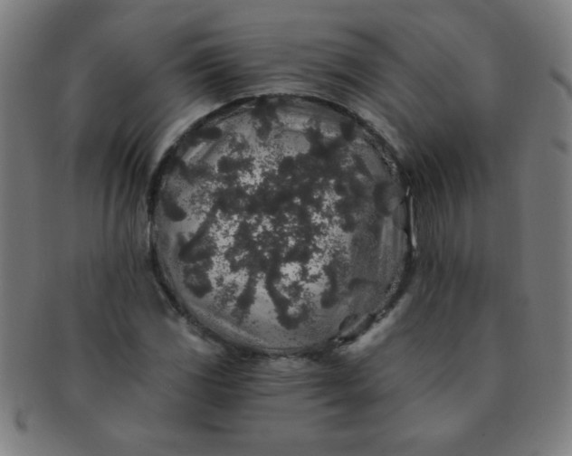 X0000091341117200708241217