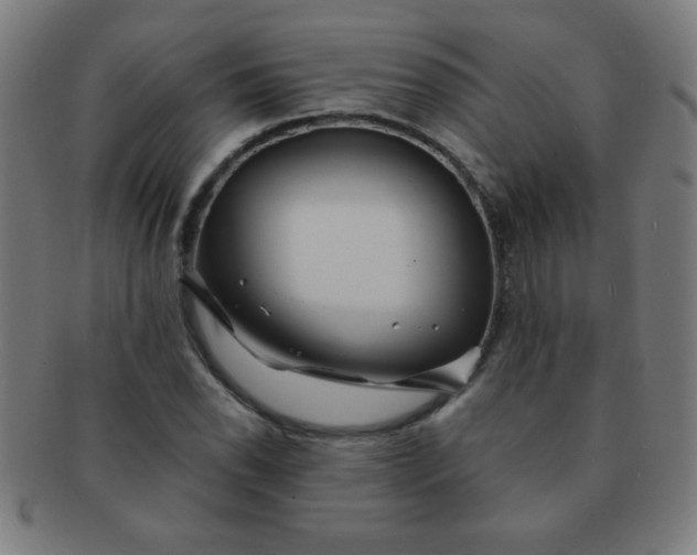 X0000091341118200708241217