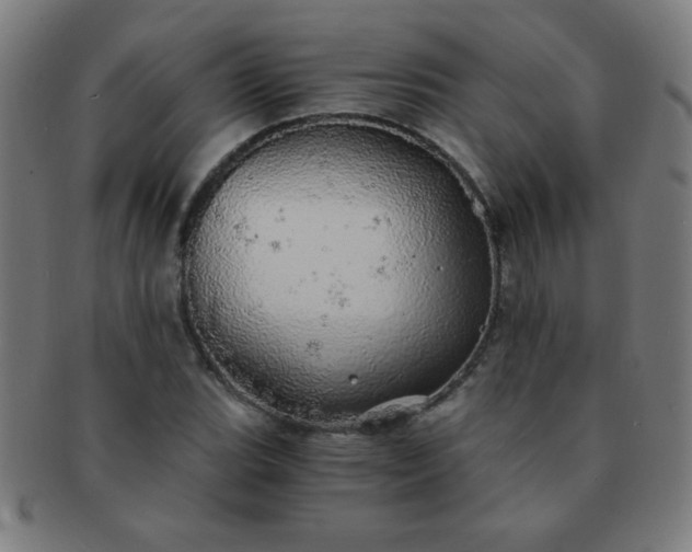 X0000091341119200708241217