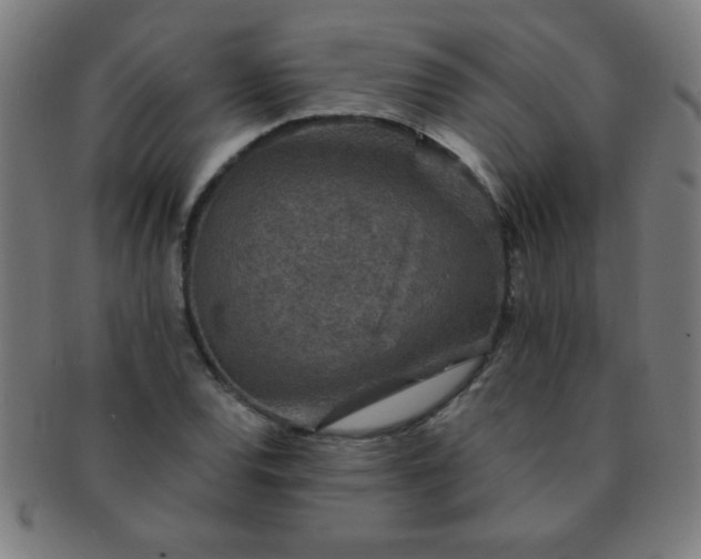 X0000091341120200708241217