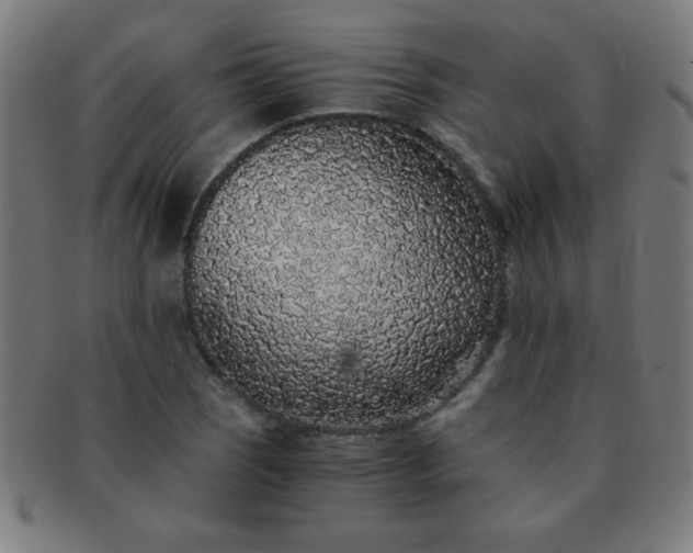 X0000091341121200708241217