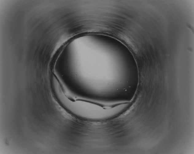 X0000091341122200708241217