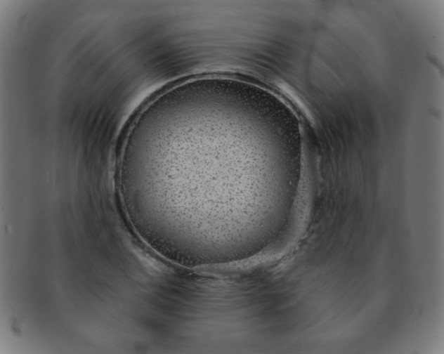 X0000091341124200708241217