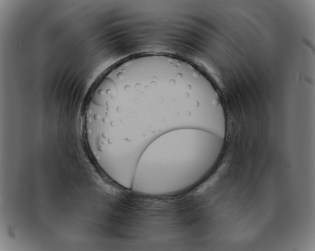 X0000091341125200708241217