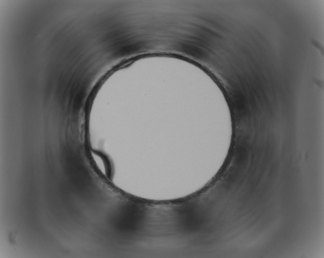 X0000091341126200708241217