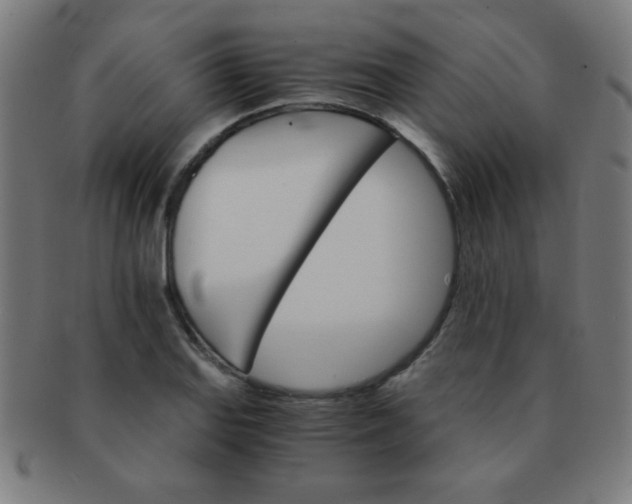 X0000091341127200708241217