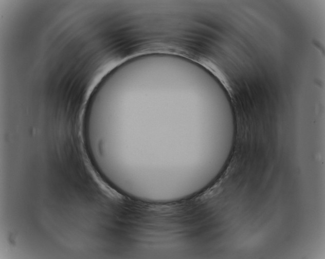 X0000091341128200708241217