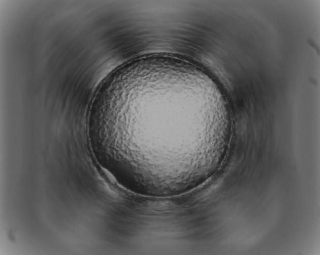 X0000091341129200708241217