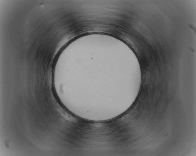 X0000091341130200708241217