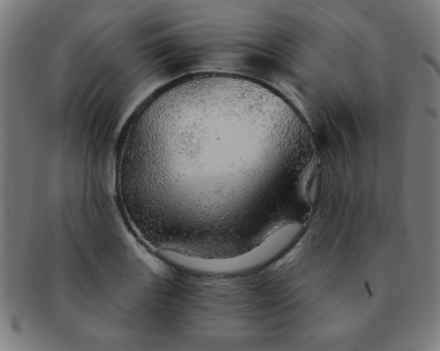 X0000091341131200708241217